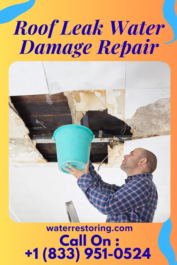 Roof Leak Water Damage Repair in Pasadena, TX